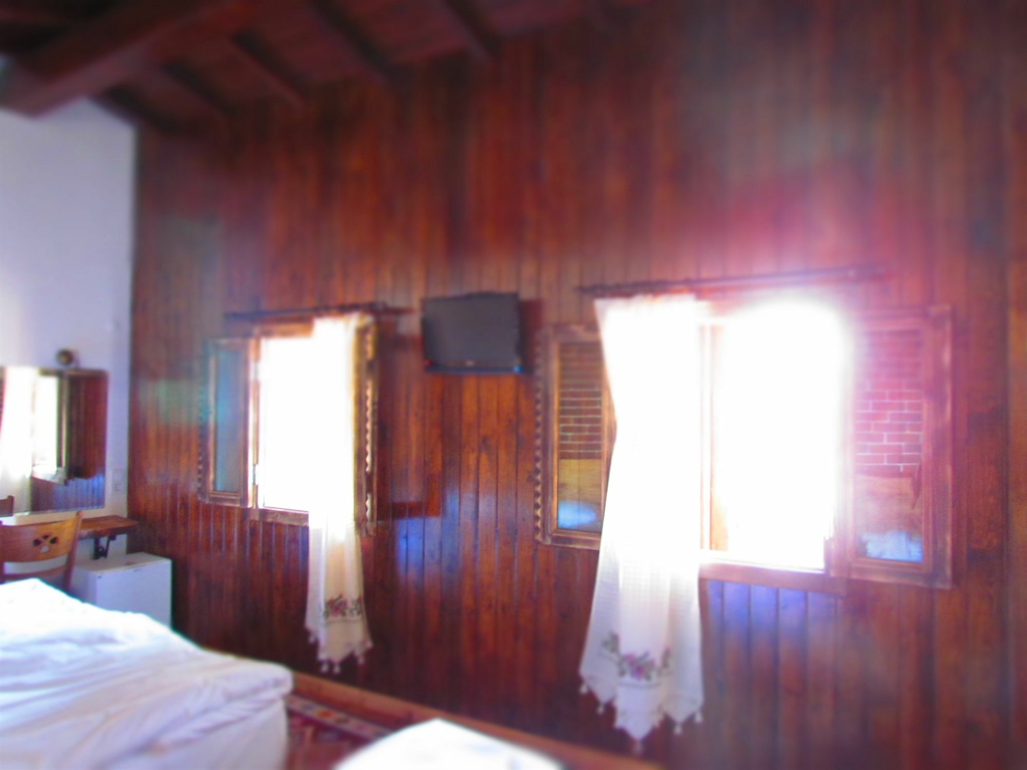 Gasthuis Amazon Petite Palace